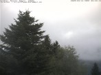 Archiv Foto Webcam Chalet Sybil (1360m), Leysin 05:00