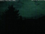 Archiv Foto Webcam Chalet Sybil (1360m), Leysin 01:00