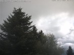 Archiv Foto Webcam Chalet Sybil (1360m), Leysin 11:00