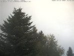 Archiv Foto Webcam Chalet Sybil (1360m), Leysin 13:00