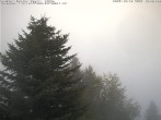 Archiv Foto Webcam Chalet Sybil (1360m), Leysin 15:00
