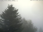 Archiv Foto Webcam Chalet Sybil (1360m), Leysin 17:00