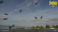 Archiv Foto Webcam Neusiedler See: Podersdorf 12:00