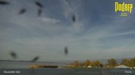 Archiv Foto Webcam Neusiedler See: Podersdorf 14:00