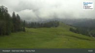 Archived image Webcam Russbach - Dachstein West - Terrain Park 12:00