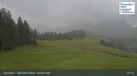 Archiv Foto Webcam Russbach - Dachstein West - Snowpark 14:00