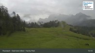 Archiv Foto Webcam Russbach - Dachstein West - Snowpark 14:00