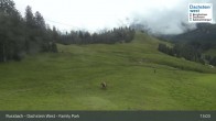 Archiv Foto Webcam Russbach - Dachstein West - Snowpark 12:00