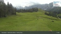 Archiv Foto Webcam Russbach - Dachstein West - Snowpark 10:00
