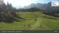 Archiv Foto Webcam Russbach - Dachstein West - Snowpark 08:00