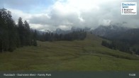 Archiv Foto Webcam Russbach - Dachstein West - Snowpark 14:00