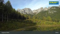 Archiv Foto Webcam Fulpmes - Stubaital 08:00