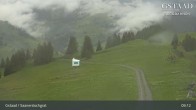 Archiv Foto Webcam Saanerslochgrat (1.937m) 08:00