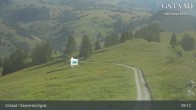 Archiv Foto Webcam Saanerslochgrat (1.937m) 08:00