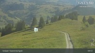 Archiv Foto Webcam Saanerslochgrat (1.937m) 08:00
