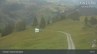 Archiv Foto Webcam Saanerslochgrat (1.937m) 14:00