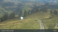 Archiv Foto Webcam Saanerslochgrat (1.937m) 08:00