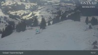 Archiv Foto Webcam Saanerslochgrat (1.937m) 14:00