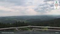 Archiv Foto Webcam Stausee Lipno - Lipensko 08:00