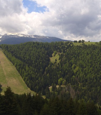 Alpe Cimbra Panorama - Folgaria Lavarone Luserna