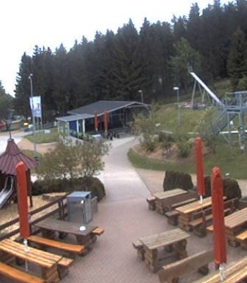 Altenberg: Webcam Sommerrodelbahn