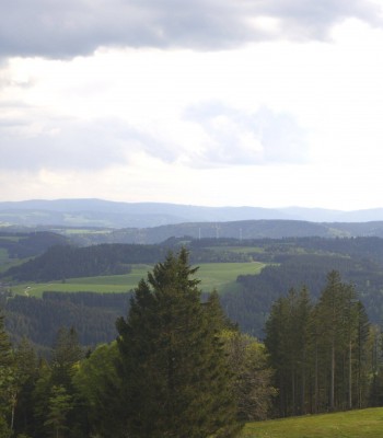 Black Forest - Brend Tower