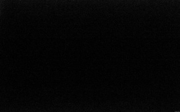 Feistritz / Gail - Bat House