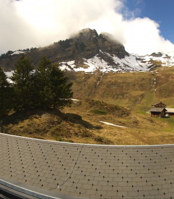 Grindelwald Bussalp Roundshot