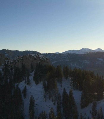 Panoramablick von der Grüntenhütte