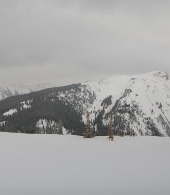 Panoramacam Aspen Snowmass Elk Camp