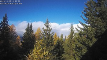 Rosswald - Bärgfriedu