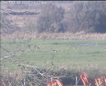 Wrixum - Inselhotel Arfsten